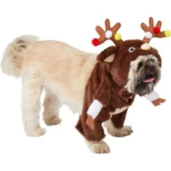 Frisco Front Walking Reindeer Dog & Cat Costume, 1 Count -Pet Care Sales 228790 PT3. AC SS1800 V1631299657