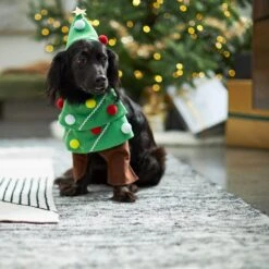 Frisco Front Walking Christmas Tree Dog & Cat Costume 12 Frisco Front Walking Christmas Tree Dog & Cat Costume -Pet Care Sales 229164 PT7. AC SS1800 V1601385981