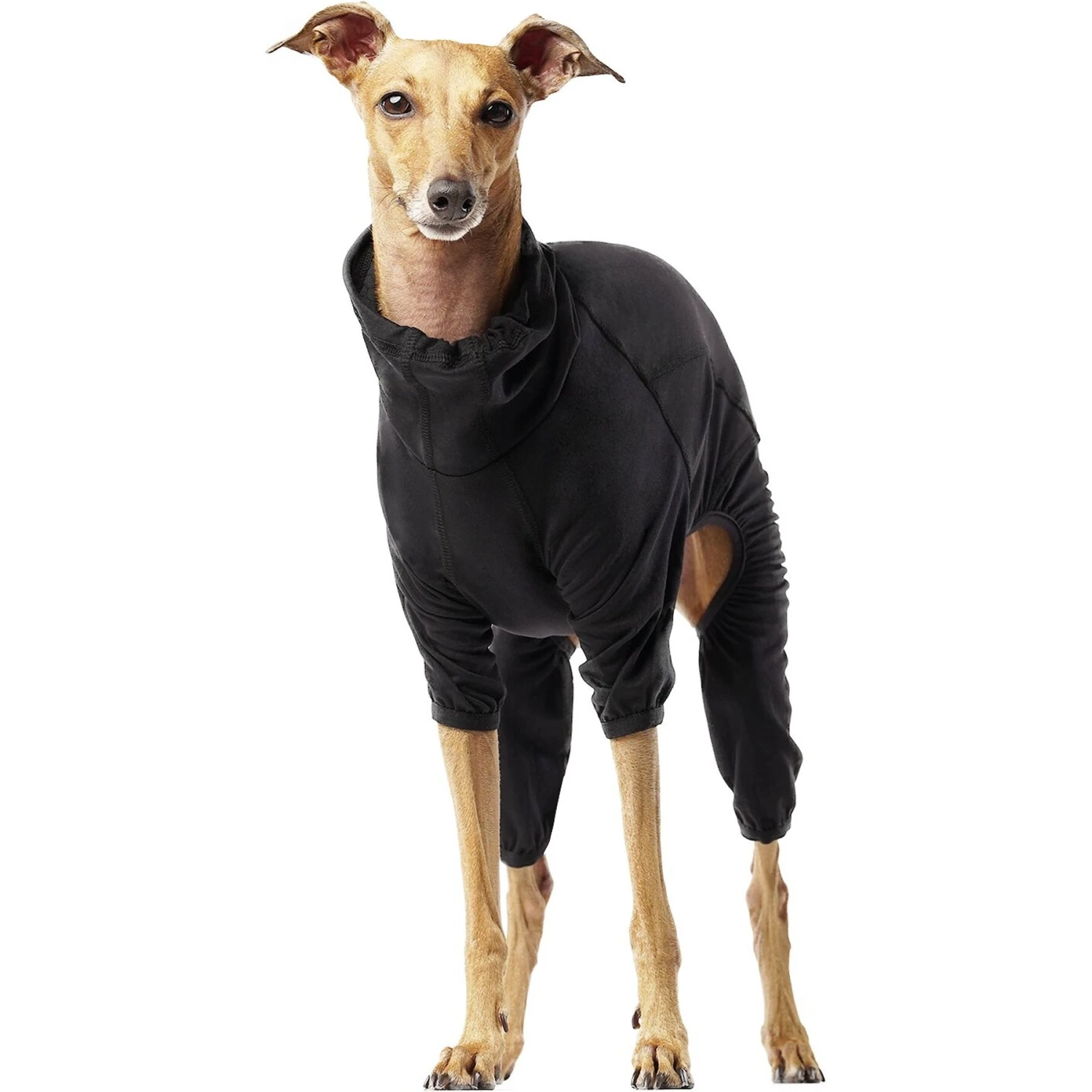 Canada Pooch Thermal Layer Dog Onesie, Black 2 Canada Pooch Thermal Layer Dog Onesie, Black - Image 2