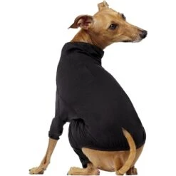 Canada Pooch Thermal Layer Dog Onesie, Black 7 Canada Pooch Thermal Layer Dog Onesie, Black -Pet Care Sales 229714 PT2. AC SS1800 V1597878702