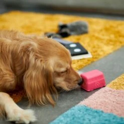 Frisco Retro Funky Van TPE Treat Dispenser Dog Toy, Medium/Large -Pet Care Sales 230383 PT4. AC SS1800 V1669908614