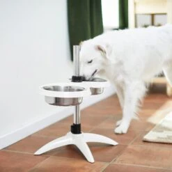 Frisco Adjustable Stainless Steel Double Elevated Dog Bowls 13 Frisco Adjustable Stainless Steel Double Elevated Dog Bowls -Pet Care Sales 232097 PT8. AC SS1800 V1605740511