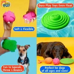 Hartz DuraPlay Disc Bacon Scented Dog Toy, Color Varies -Pet Care Sales 232936 PT5. AC SS1800 V1661201759
