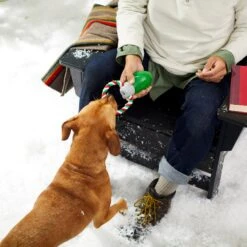 Frisco Holiday Christmas Light Rope With TPR Squeaky Dog Toy 7 Frisco Holiday Christmas Light Rope With TPR Squeaky Dog Toy -Pet Care Sales 233278 PT2. AC SS1800 V1601641574