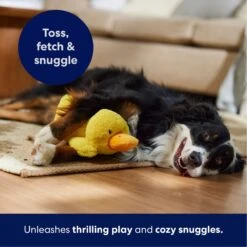 Frisco Duck Plush Squeaky Dog Toy 10 Frisco Duck Plush Squeaky Dog Toy -Pet Care Sales 233613 PT4. AC SS1800 V1695670688