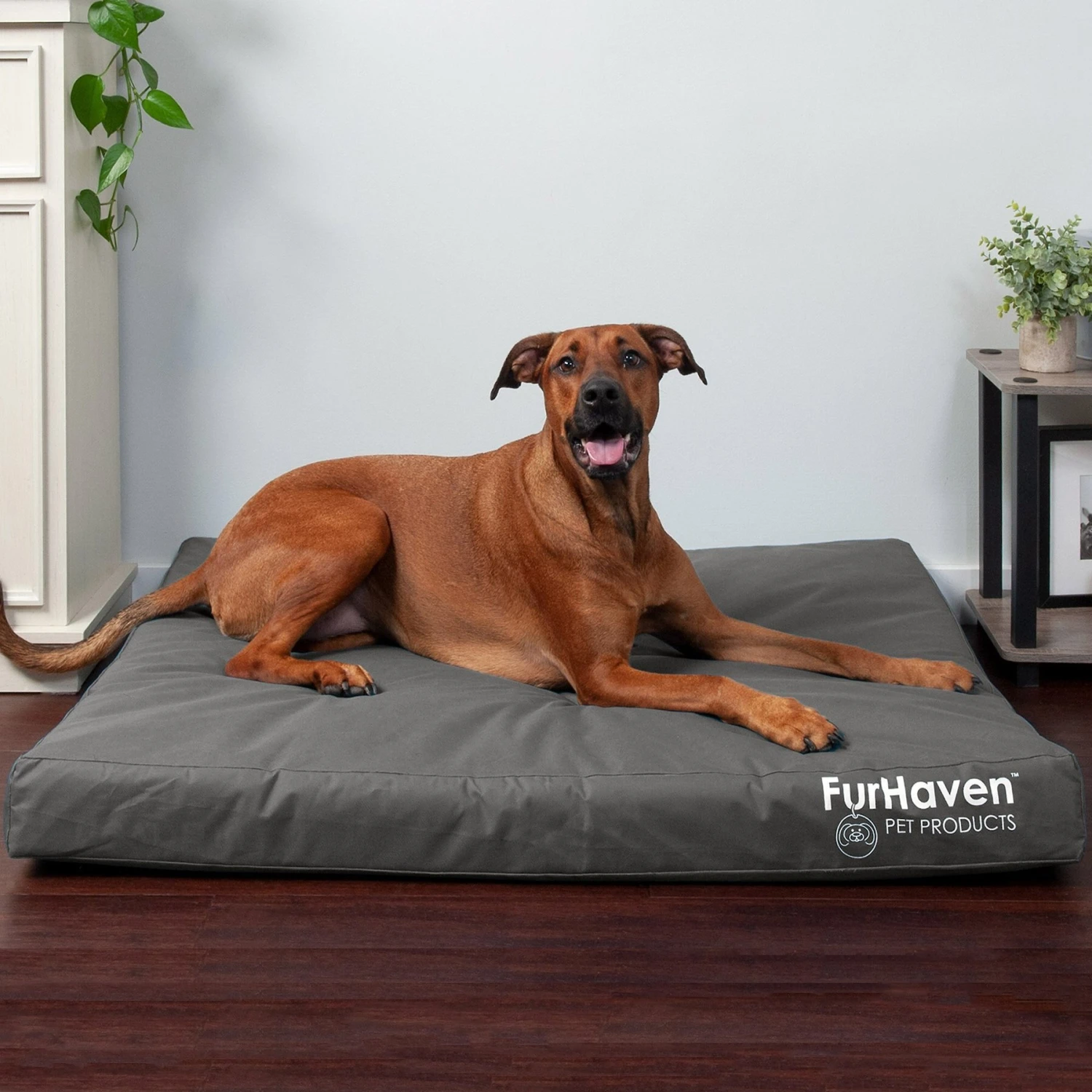 FurHaven Deluxe Oxford Orthopedic Indoor/Outdoor Dog & Cat Bed With Removable Cover 1 FurHaven Deluxe Oxford Orthopedic Indoor/Outdoor Dog & Cat Bed With Removable Cover