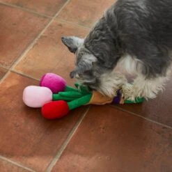 Frisco Valentine Rose Bouquet Plush Squeaky Dog Toy 6 Frisco Valentine Rose Bouquet Plush Squeaky Dog Toy -Pet Care Sales 241733 PT6. AC SS1800 V1607990908