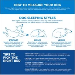 Disney Pluto Pillow Cat & Dog Bed 8 Disney Pluto Pillow Cat & Dog Bed -Pet Care Sales 242068 PT3. AC SS1800 V1633975612