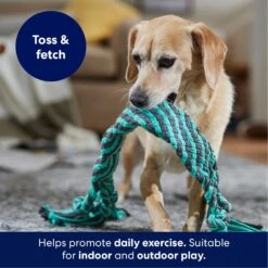 Frisco Flat Teal & Gray Braided Rope Squeaky Fetch Dog Toy -Pet Care Sales 242127 PT3. AC SS1800 V1695242179