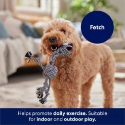 Frisco Zebra Rope Squeaky Dog Toy 8 Frisco Zebra Rope Squeaky Dog Toy -Pet Care Sales 242163 PT3. AC SS1800 V1691785245