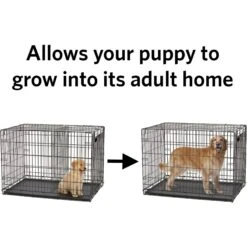 MidWest 54-in Solution Series SL54DD & 1154 Dog Crate Divider Panel, Black, Giant -Pet Care Sales 244770 PT2. AC SS1800 V1608220038