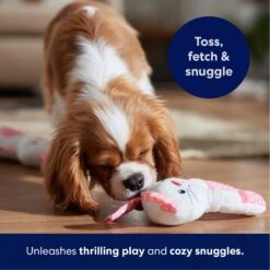 Frisco Bunny Plush Squeaky Puppy Toy 8 Frisco Bunny Plush Squeaky Puppy Toy -Pet Care Sales 245916 PT3. AC SS1800 V1695760959