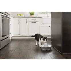 PetSafe Creekside Quiet Dog & Cat Fountain, 60-oz 14 PetSafe Creekside Quiet Dog & Cat Fountain, 60-oz -Pet Care Sales 247077 PT6. AC SS1800 V1596740182