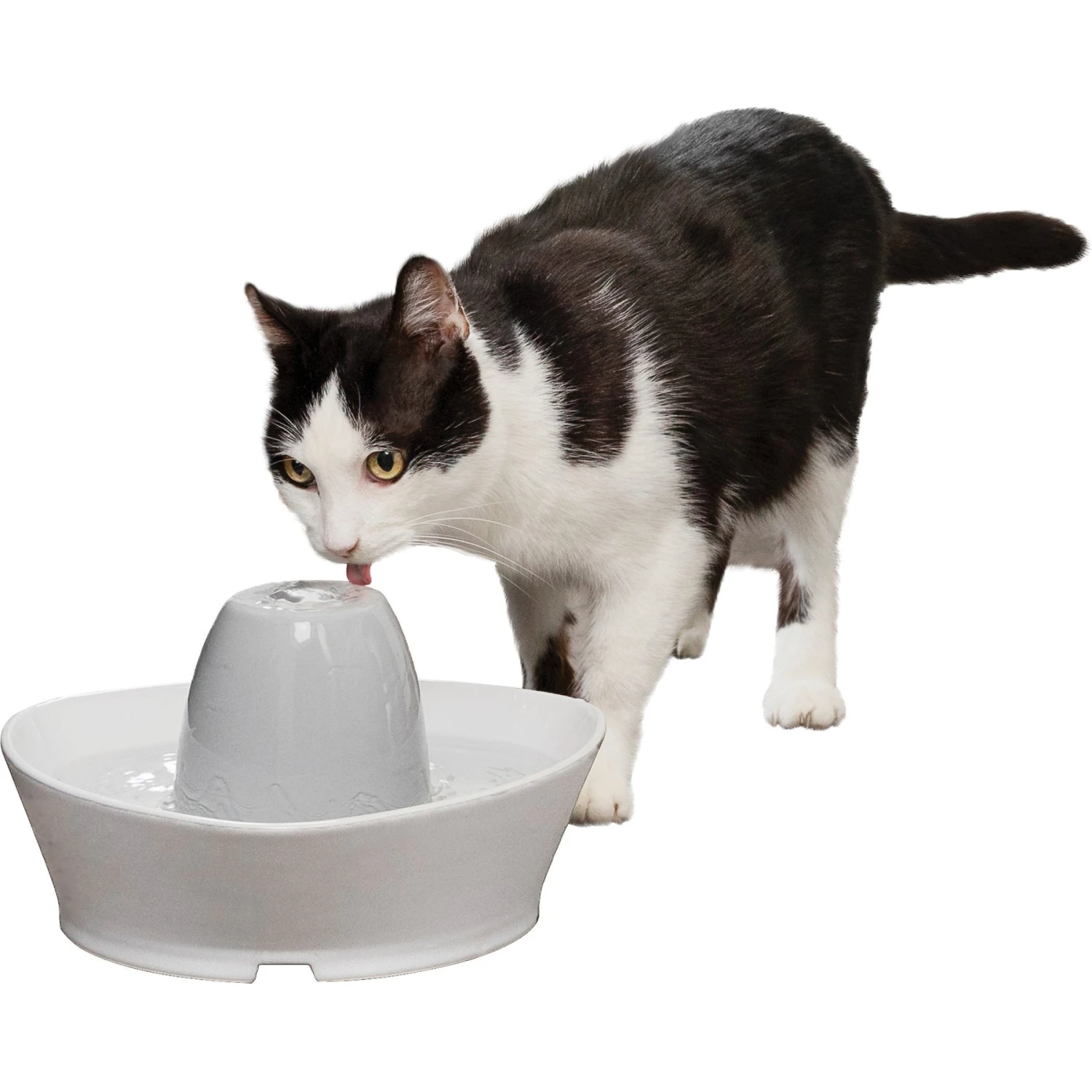 PetSafe Creekside Quiet Dog & Cat Fountain, 60-oz 8 PetSafe Creekside Quiet Dog & Cat Fountain, 60-oz - Image 8