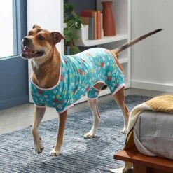Frisco Teal Floral Dog & Cat Jersey PJs 12 Frisco Teal Floral Dog & Cat Jersey PJs -Pet Care Sales 249132 PT5. AC SS1800 V1637725019