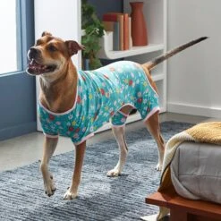 Frisco Teal Floral Dog & Cat Jersey PJs 13 Frisco Teal Floral Dog & Cat Jersey PJs -Pet Care Sales 249132 PT7. AC SS1800 V1614376401