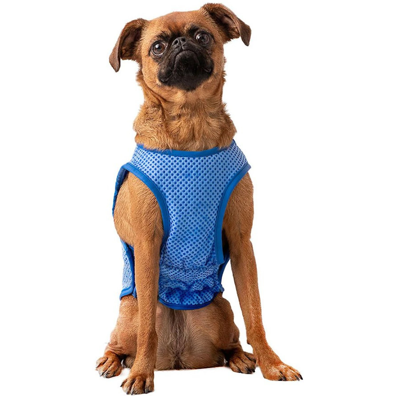 GF Pet Elastofit Ice Dog Vest 1 GF Pet Elastofit Ice Dog Vest