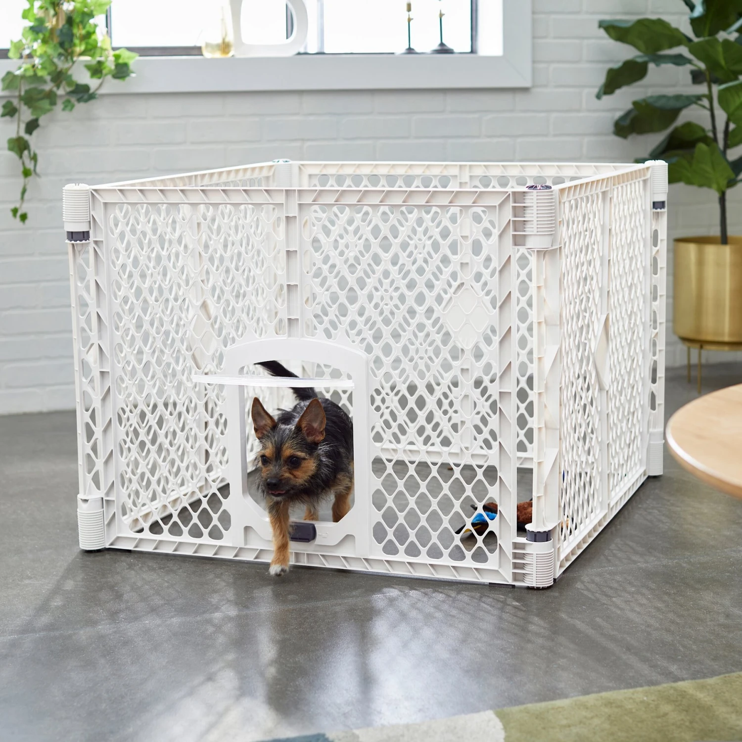 Frisco 4-Panel Plastic Exercise Dog Playpen 1 Frisco 4-Panel Plastic Exercise Dog Playpen