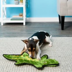 Frisco Alligator Stuffing-Free Flat Plush Squeaky Dog Toy & Frisco Raccoon Stuffing-Free Flat Plush Squeaky Dog Toy -Pet Care Sales 255471 PT2. AC SS1800 V1602691584