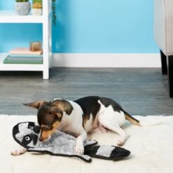 Frisco Alligator Stuffing-Free Flat Plush Squeaky Dog Toy & Frisco Raccoon Stuffing-Free Flat Plush Squeaky Dog Toy -Pet Care Sales 255471 PT4. AC SS1800 V1602691287
