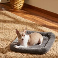 Frisco Fold & Carry Single Door Collapsible Wire Dog Crate & Frisco Quilted Plush Dog Crate Mat 9 Frisco Fold & Carry Single Door Collapsible Wire Dog Crate & Frisco Quilted Plush Dog Crate Mat -Pet Care Sales 255501 PT4. AC SS1800 V1604097719