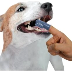 Nylabone Just For Puppies Teething Chew Toy Keys & Nylabone Advanced Oral Care Finger Dog Brush, 2 Count -Pet Care Sales 255737 PT4. AC SS1800 V1604067343