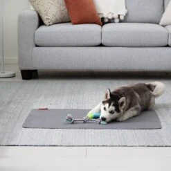 Brindle Washable Puppy Training Pad, 2 Count