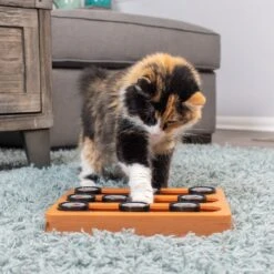 OurPets Sushi Treat Dispensing Puzzle Dog & Cat Toy 12 OurPets Sushi Treat Dispensing Puzzle Dog & Cat Toy -Pet Care Sales 258947 PT4. AC SS1800 V1605919339