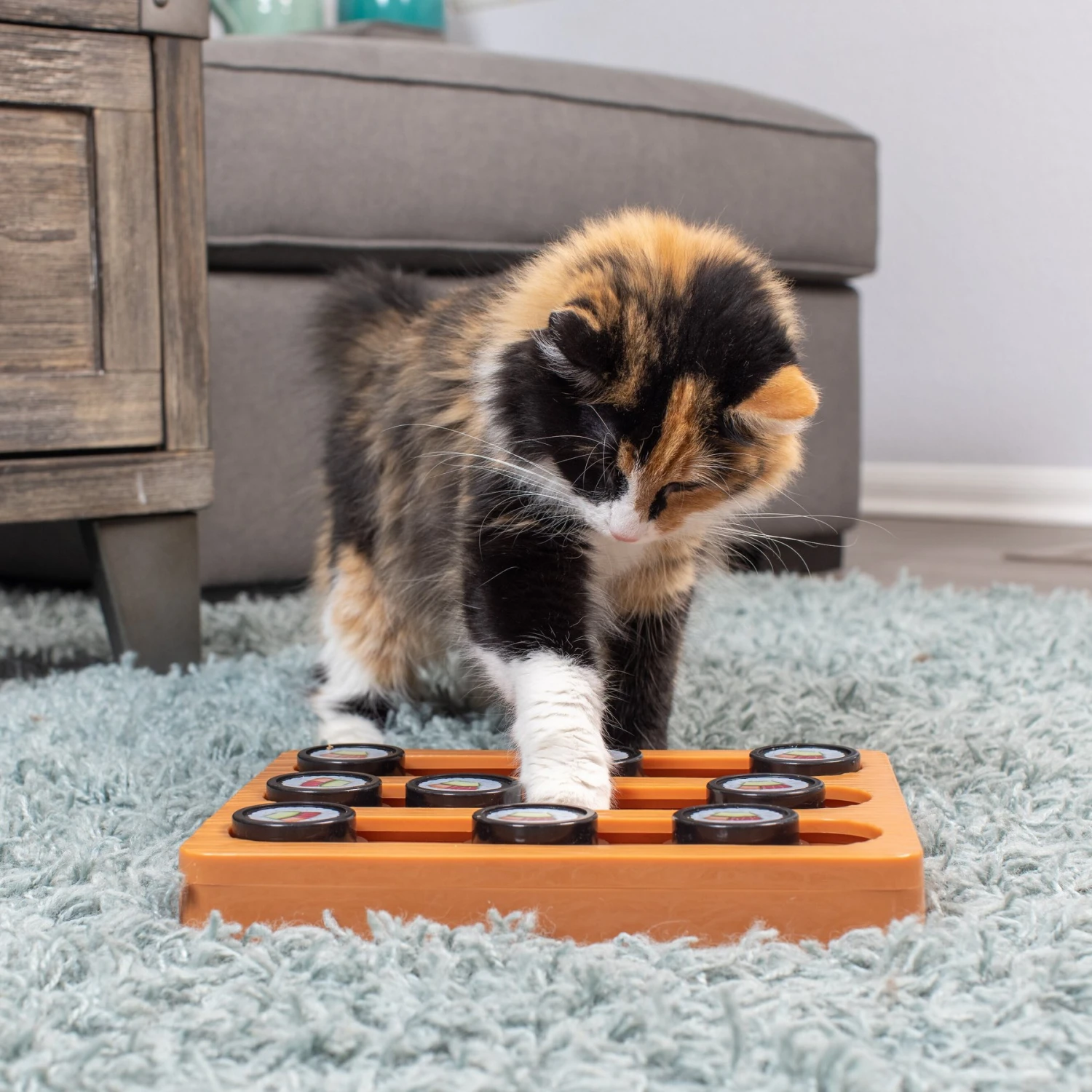 OurPets Sushi Treat Dispensing Puzzle Dog & Cat Toy 5 OurPets Sushi Treat Dispensing Puzzle Dog & Cat Toy - Image 5