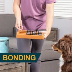 OurPets Sushi Treat Dispensing Puzzle Dog & Cat Toy 15 OurPets Sushi Treat Dispensing Puzzle Dog & Cat Toy -Pet Care Sales 258947 PT7. AC SS1800 V1605917811