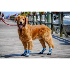 Bark Brite Lightweight Neoprene Paw Protector Dog Boots -Pet Care Sales 261282 PT5. AC SS1800 V1605340017