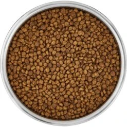 Frisco Insulated Non-Skid Stainless Steel Dog & Cat Bowl -Pet Care Sales 261757 PT4. AC SS1800 V1623937392