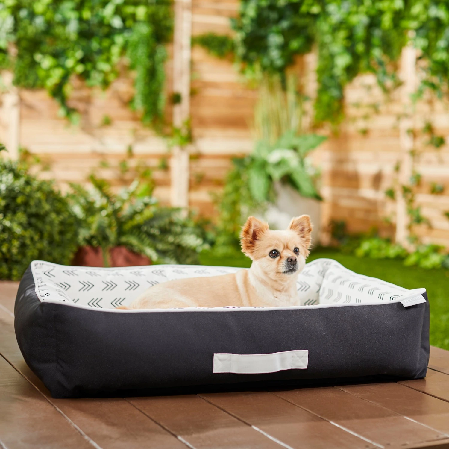 Frisco Indoor/Outdoor Modern Cuddler Bolster Cat & Dog Bed 1 Frisco Indoor/Outdoor Modern Cuddler Bolster Cat & Dog Bed