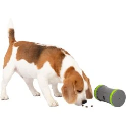 PetSafe Kibble Chase Roaming Treat Dropper Dog Toy -Pet Care Sales 266209 PT6. AC SS1800 V1648601197