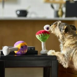 Frisco Halloween Cocktail Plush Squeaky Dog Toy 7 Frisco Halloween Cocktail Plush Squeaky Dog Toy -Pet Care Sales 270361 PT3. AC SS1800 V1624817495