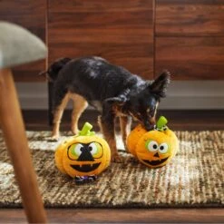 Frisco Halloween Nerdy Jack-o-Lanterns Plush Squeaky Dog Toy -Pet Care Sales 270431 PT3. AC SS1800 V1624817796