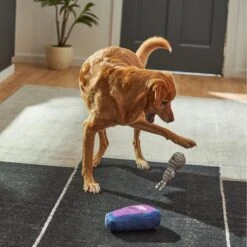 Frisco Halloween Mummy & Coffin Plush Squeaky Dog Toy -Pet Care Sales 270437 PT3. AC SS1800 V1624817278