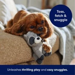 Frisco Camping Raccoon Plush Squeaky Dog Toy -Pet Care Sales 271003 PT4. AC SS1800 V1695670777
