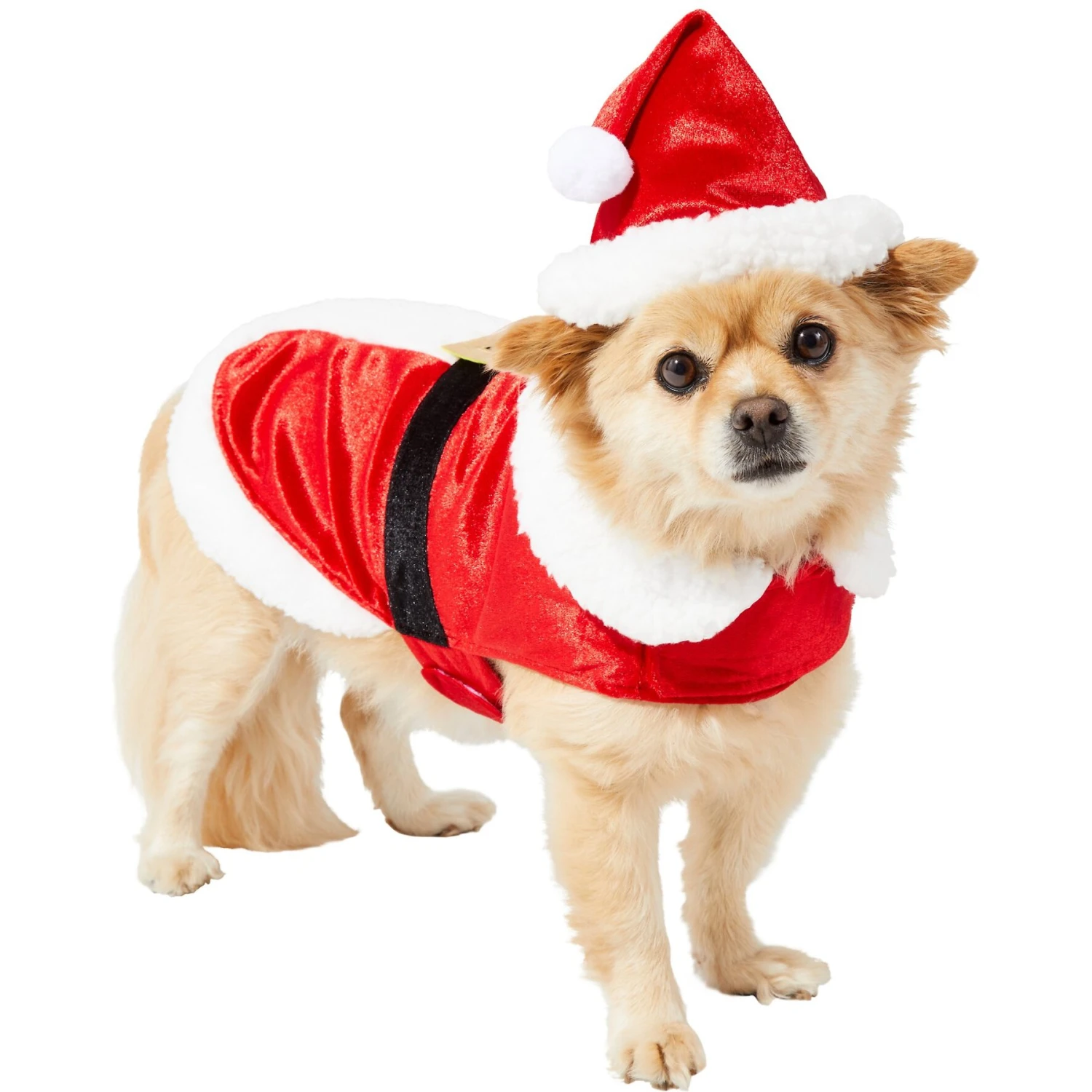 Frisco Mr. Claus Dog & Cat Costume 1 Frisco Mr. Claus Dog & Cat Costume