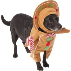 Frisco Front Walking Gingerbread Dog & Cat Costume -Pet Care Sales 276156 PT3. AC SS1800 V1631660334