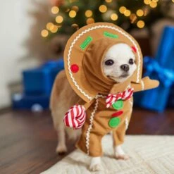 Frisco Front Walking Gingerbread Dog & Cat Costume -Pet Care Sales 276156 PT8. AC SS1800 V1631568795