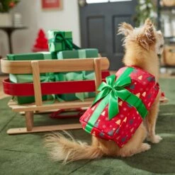 Frisco Holiday Giftbox Dog & Cat Costume -Pet Care Sales 276175 PT8. AC SS1800 V1631574832
