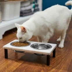 Frisco Marble Elevated Stainless Steel Double Diner Dog & Cat Bowls 9 Frisco Marble Elevated Stainless Steel Double Diner Dog & Cat Bowls -Pet Care Sales 277559 PT3. AC SS1800 V1630347820