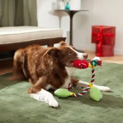 Frisco Holiday Lights Plush With Rope Squeaky Dog Toy -Pet Care Sales 287109 PT3. AC SS1800 V1632775707