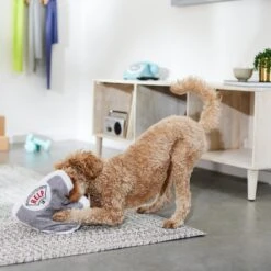 Frisco Scale Plush Squeaky Dog Toy -Pet Care Sales 288911 PT3. AC SS1800 V1638289585