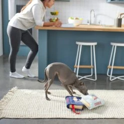 Frisco Cookbooks Plush Squeaky Dog Toy, 2 Count -Pet Care Sales 288937 PT3. AC SS1800 V1638287852