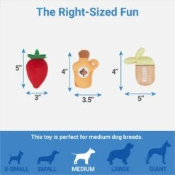 Frisco Brunch Pancake Hide & Seek Puzzle Plush Squeaky Dog Toy 6 Frisco Brunch Pancake Hide & Seek Puzzle Plush Squeaky Dog Toy -Pet Care Sales 297266 PT2. AC SS1800 V1643916712