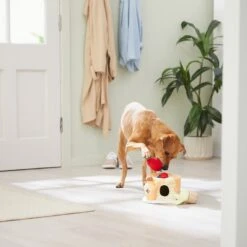 Frisco Brunch Pancake Hide & Seek Puzzle Plush Squeaky Dog Toy 7 Frisco Brunch Pancake Hide & Seek Puzzle Plush Squeaky Dog Toy -Pet Care Sales 297266 PT3. AC SS1800 V1642087986