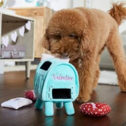 Frisco Valentine Love Letters Hide & Seek Puzzle Plush Squeaky Dog Toy -Pet Care Sales 298929 PT3. AC SS1800 V1638987486