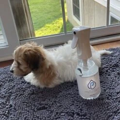 Purefy Deodorizing Pet Spray -Pet Care Sales 301306 PT3. AC SS1800 V1626471367